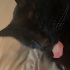 mix