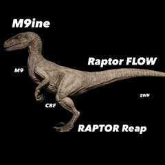 Raptor Flow