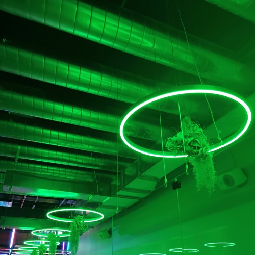 rave over