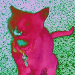 VIP In My Litterbox- BIQUE