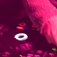 Trance Set Zugvögel Festival 2025