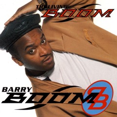 Making Love - Barry Boom