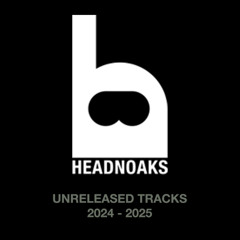 Unreleased Tracks 2024-2025 HDNKS