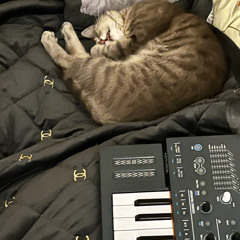 I'm a million dollar baby, don't at me.