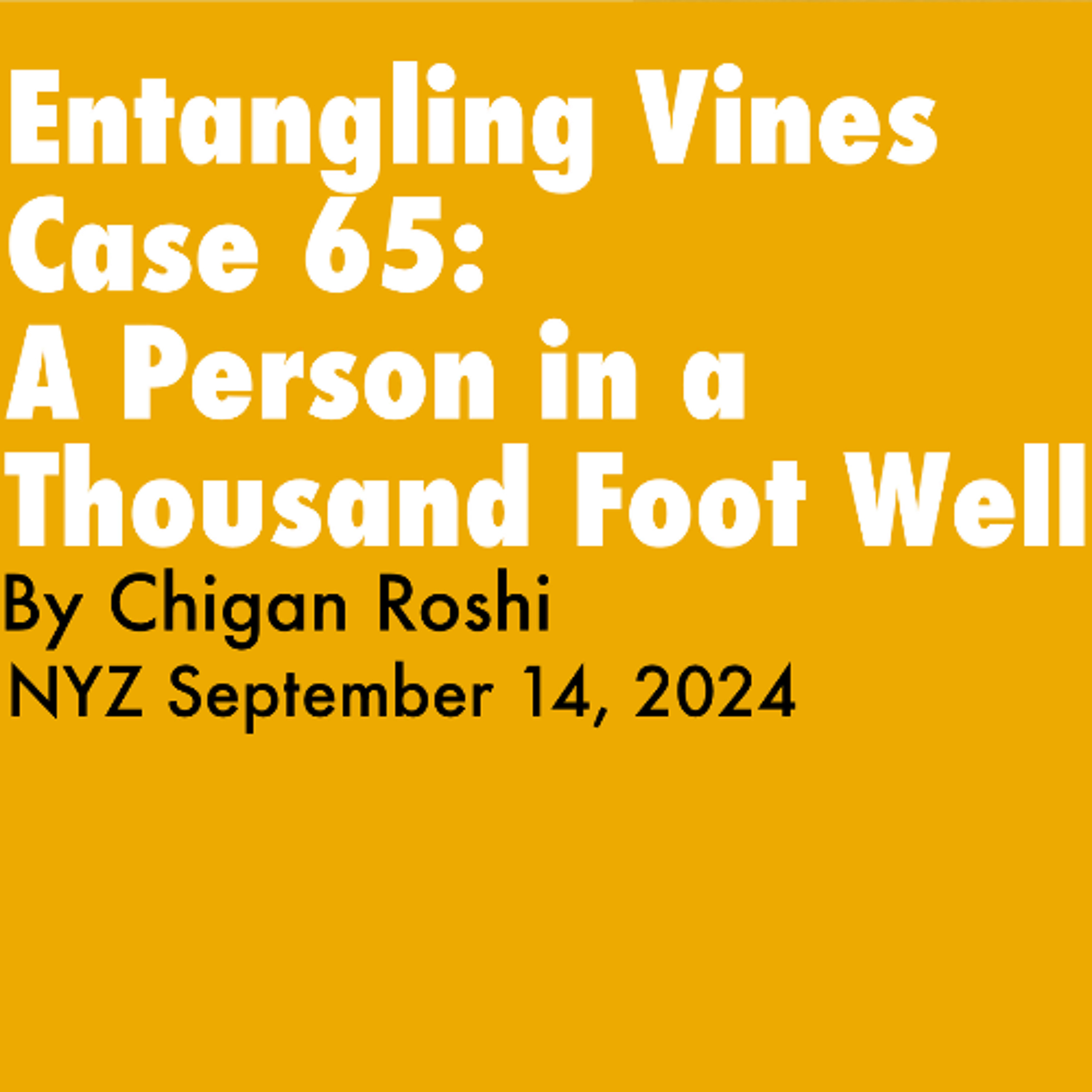 2024.03.09 - Entangling Vines Case 65 - A Person In A Thousand Foot Well - Teisho By Chigan Roshi episode artwork