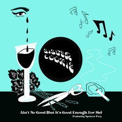 Ain't No Good (But It's Good Enough For Me) feat. Spencer Evoy