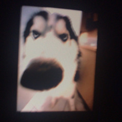 tak sobie spiewamy z szymonem...