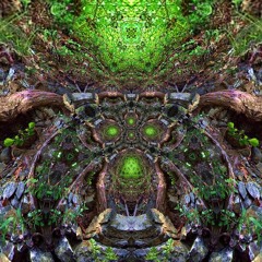 B.e.n. - "Psychedelic Bliss" - Part 5/7 (Morning Psy) - 18h mix of Ultimate Trance Experience