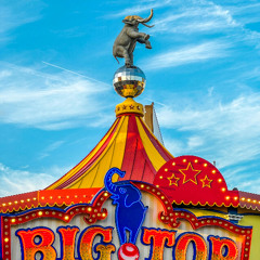 The Circus is in Town