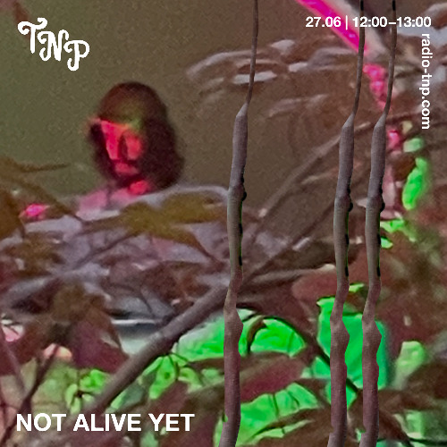 Not Alive Yet