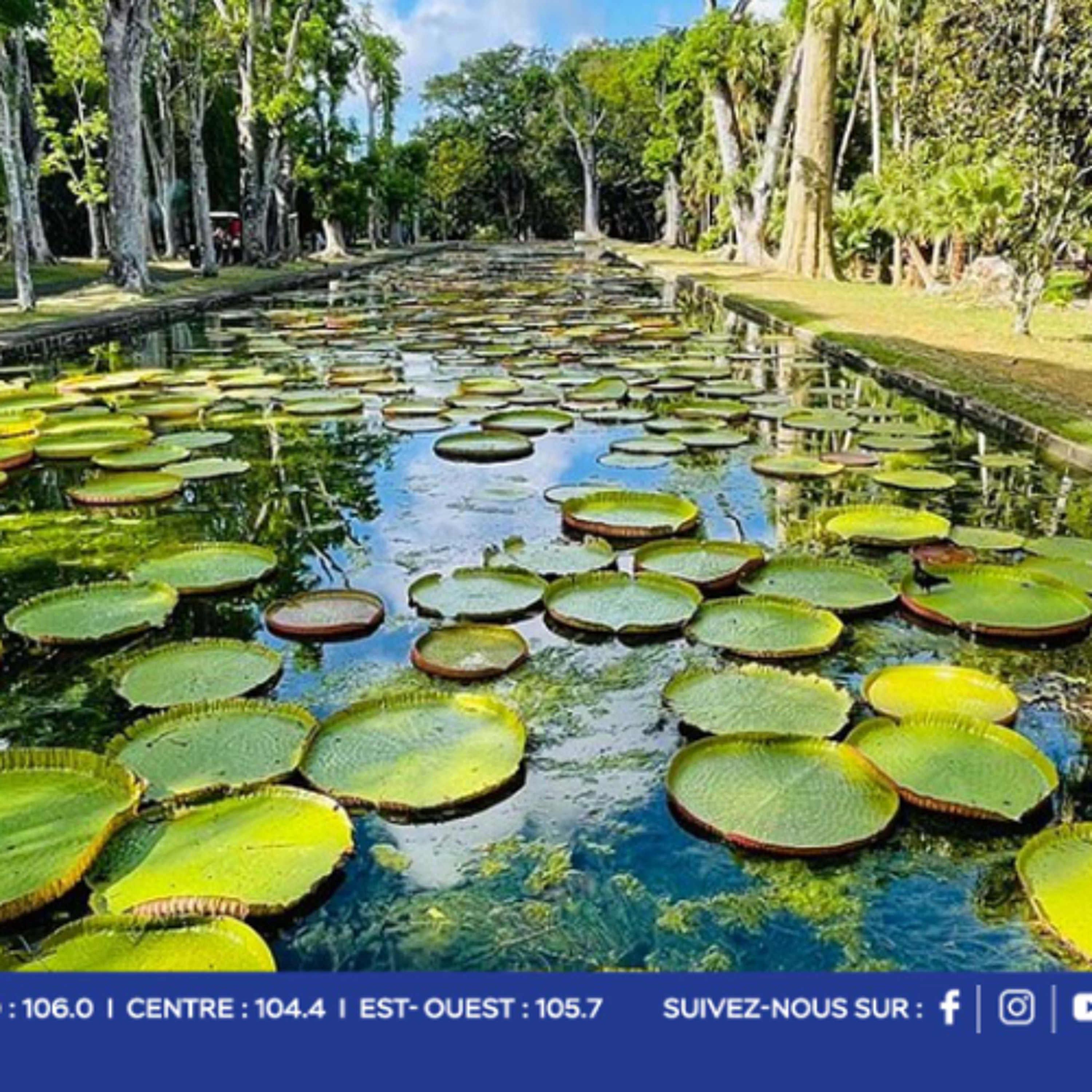 SSR Botanical Garden : une nouvelle ère de transformation pour ce trésor emblématique du patrimoine mauricien