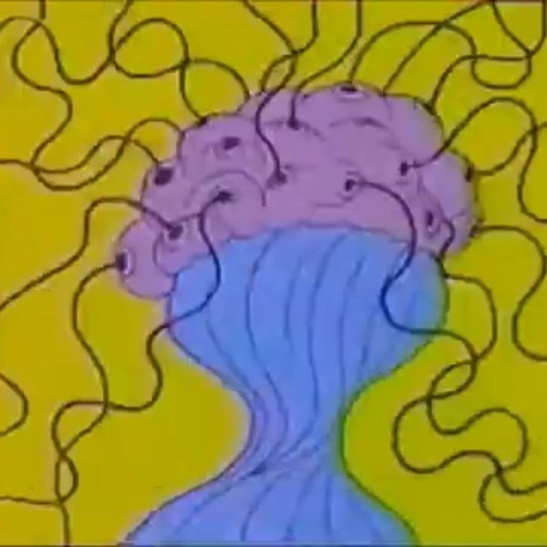 The network set my brain on fire
