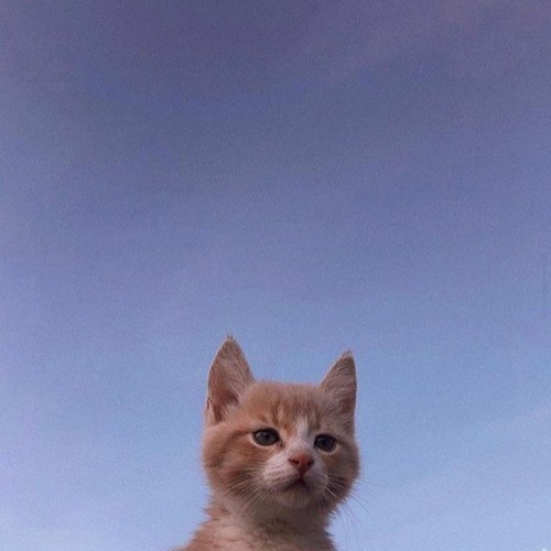 Hopeful ツ🔮 (Prod. Kaiser)(NEW IG @kkareyoukk)