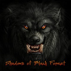 Shadows Of Black Forest