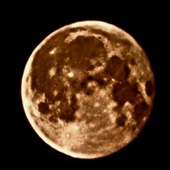 Gabee & KaiGo Shapeshifter Cut Up