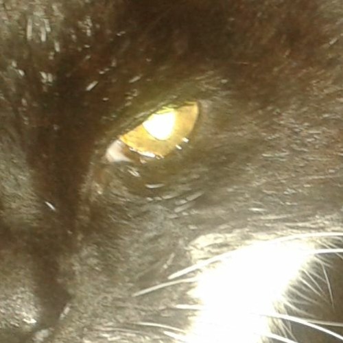 Stream Pepper's Ghost Buckethead Surf Cover by Larkstunng Listen