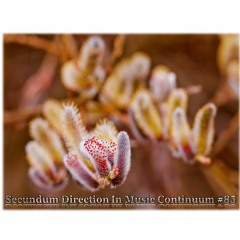 Secundum Direction In Music Continuum #85