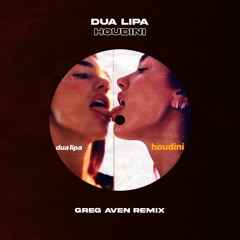 Dua Lipa - Houdini (Greg Aven Remix)