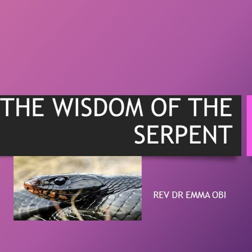 Leadership Summit- THE WISDOM OF THE SERPENT A