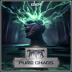 Pure Chaos (Streaming Edit)