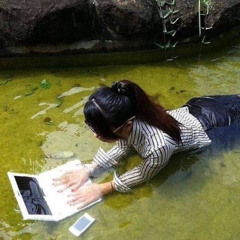 periwinkle (makeitwrkdennis)