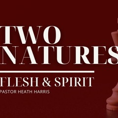 Two Natures: Saul & David