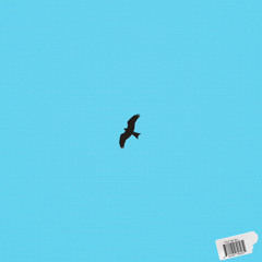 Fly