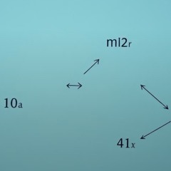 de-wiskunde-van-het-vergeten.mp3