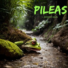 Pileas - Desert Rain
