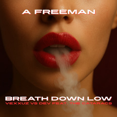 Vexxuz vs Dev ft The Cataracs - Breath Down Low (A Freeman Mashup)