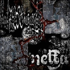 Project_411.mp3 w\ netta