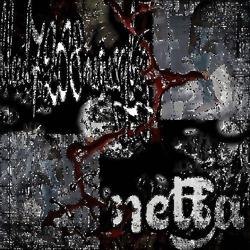 Project_411.mp3 w\ netta