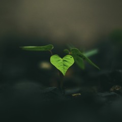Hope