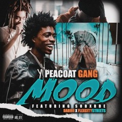 Peacoat Gang ft. SOB X RBE (Daboii x Flexcitystreets) - Mood