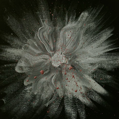 Never Before(ft.Herecstasy)