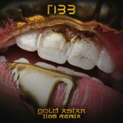 95G - Gold Asian (TIBB Remix)