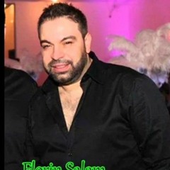 Florin Salam - Hora ca la Stefanesti - Live 2011 ( By Yonutz Salam ).mp3