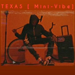 TEXAS ( Mini-Vibe) proud.cabrunaxo