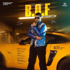 B.O.F (Benefits Of Friends) Zafar