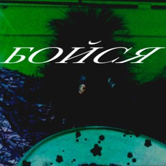 коты в банке (с аней габис)