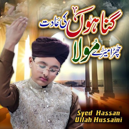 Gunahon Ki Aadat | Syed Hassan Ullah | New Naat