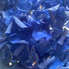 True Blue.wav