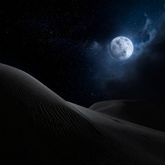 soundscapism49 (excerpt)