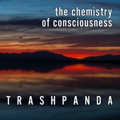 Trash Panda / TP058 / The Chemistry of Consciousness / 2022-04-07