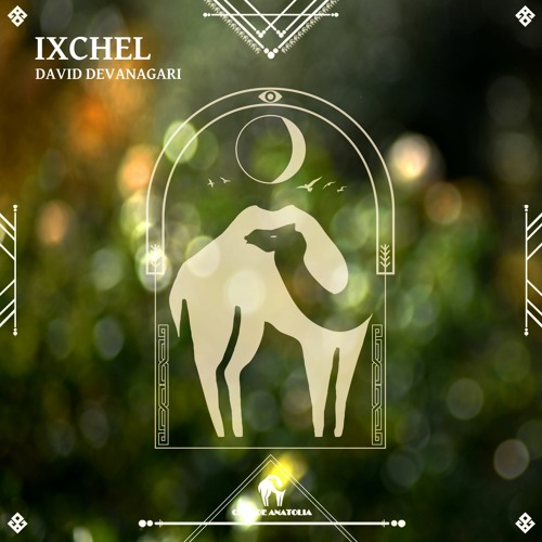 DAVID DEVANAGARI - Ixchel (Cafe De Anatolia)