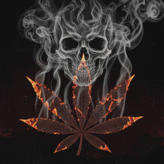 YNB - Cash ou Cendre