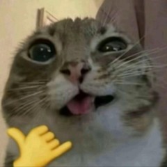 Ya