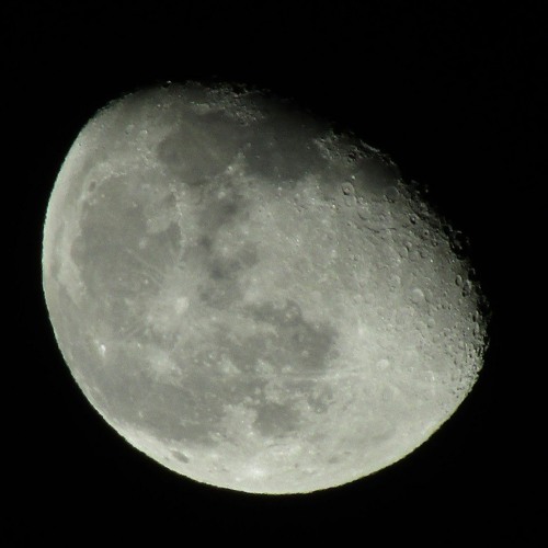 Moon
