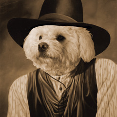 Somebody I Used To Know // Keep On Loving You // Mashup