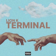 Lion K - Terminal-